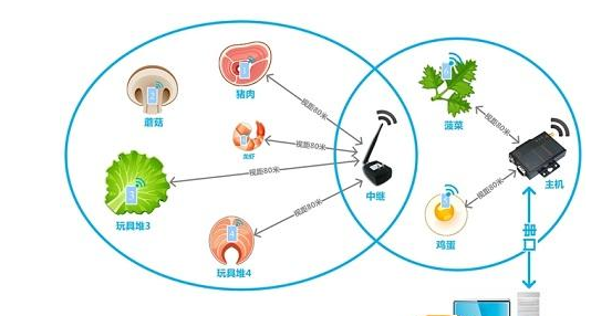 凯时K66·(中国)集团官方网站