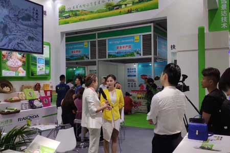 凯时K66·(中国)集团官方网站